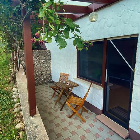 Gemuetliche Wohnung Mit Neckarblick Eberbach  Exterior foto